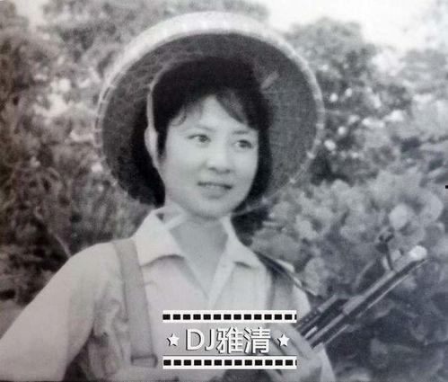 影视明星彭